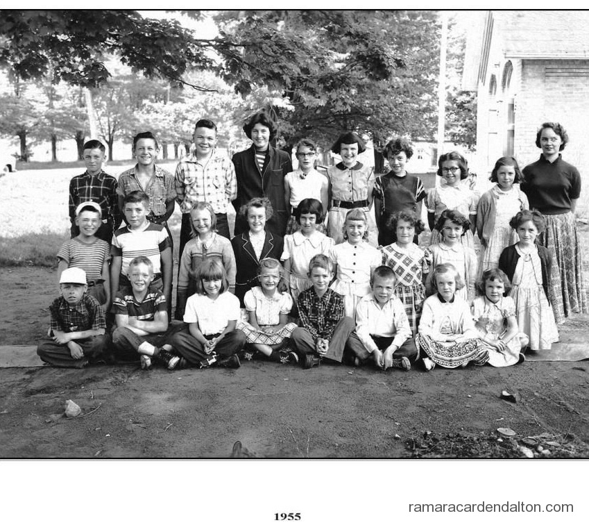 Photo of the day 3498 - Photo of the day