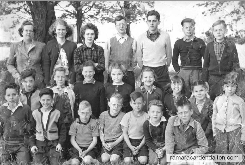 Photo of the day 3503 - Photo of the day