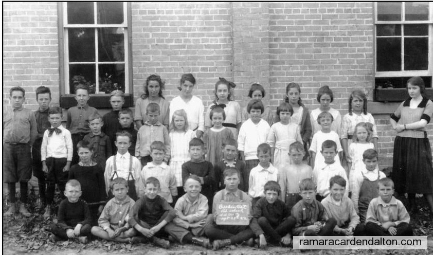 Photo of the day 3510 - Photo of the day