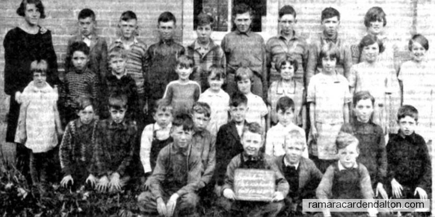 Photo of the day 3511 - Photo of the day