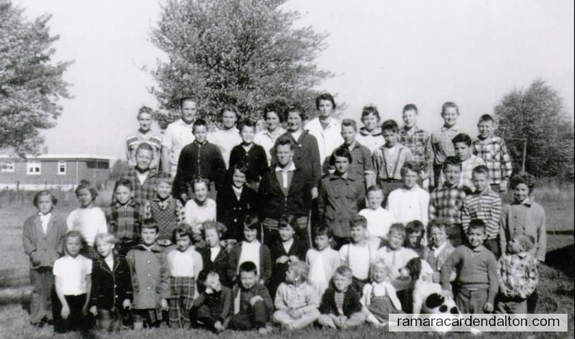 Photo of the day 3512 - Photo of the day