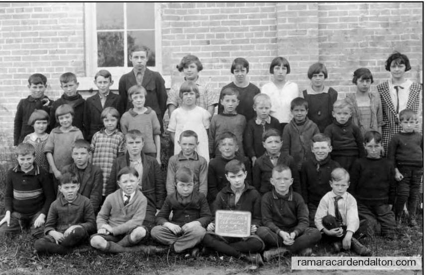 Photo of the day 3516 - Photo of the day