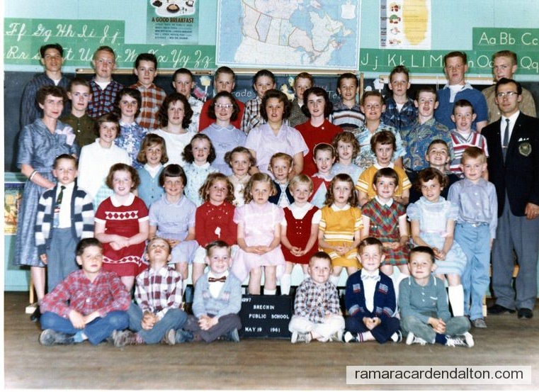 Photo of the day 3517 - Photo of the day