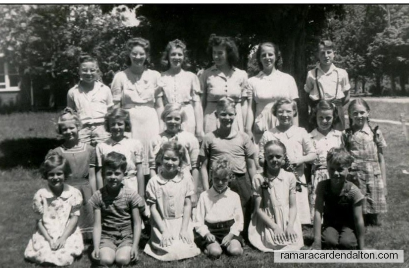 Photo of the day 3518 - Photo of the day