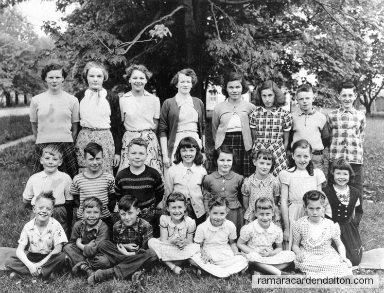 Photo of the day 3520 - Photo of the day