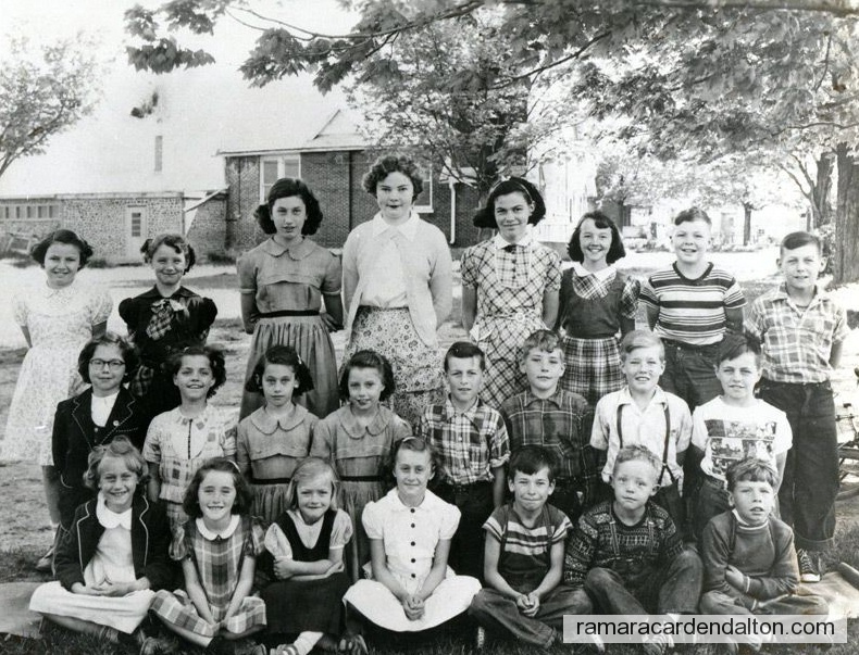 Photo of the day 3521 - Photo of the day