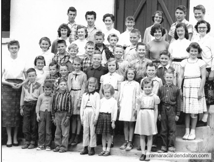 Photo of the day 3523 - Photo of the day