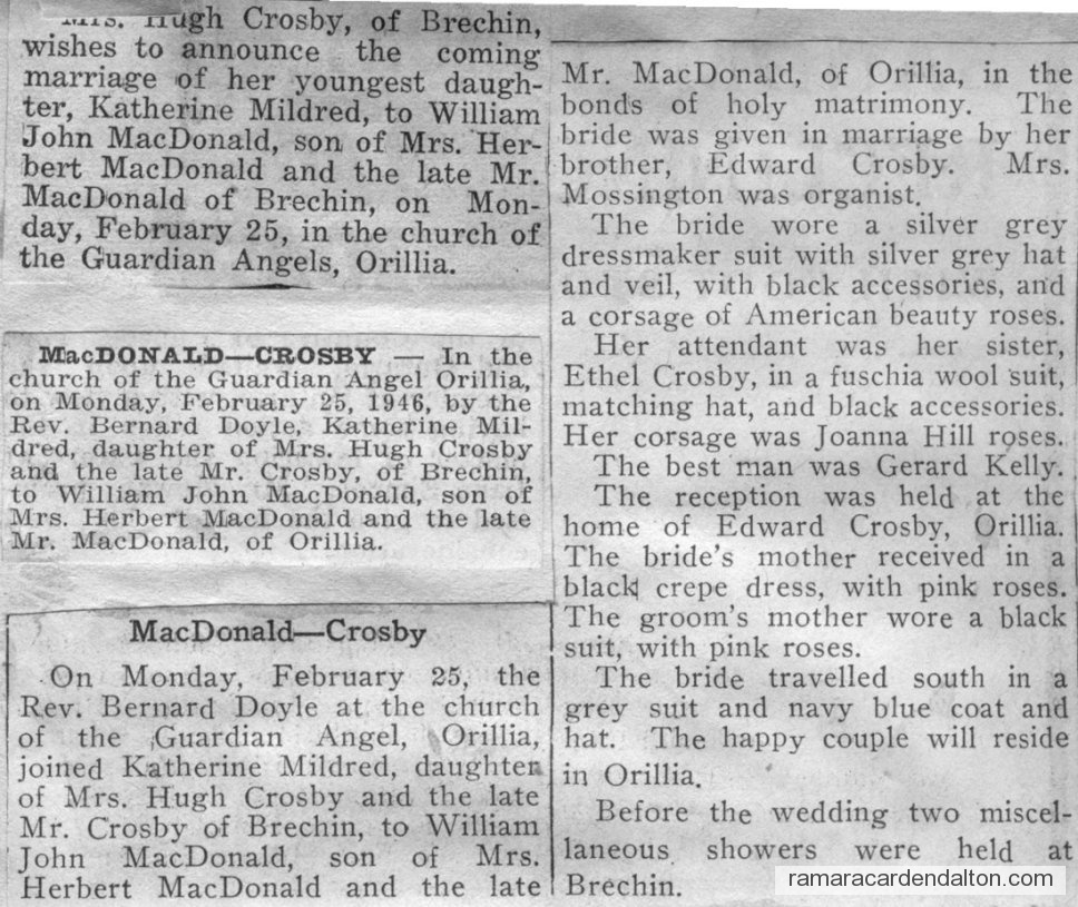 Photo of the day 3535 - Photo of the day