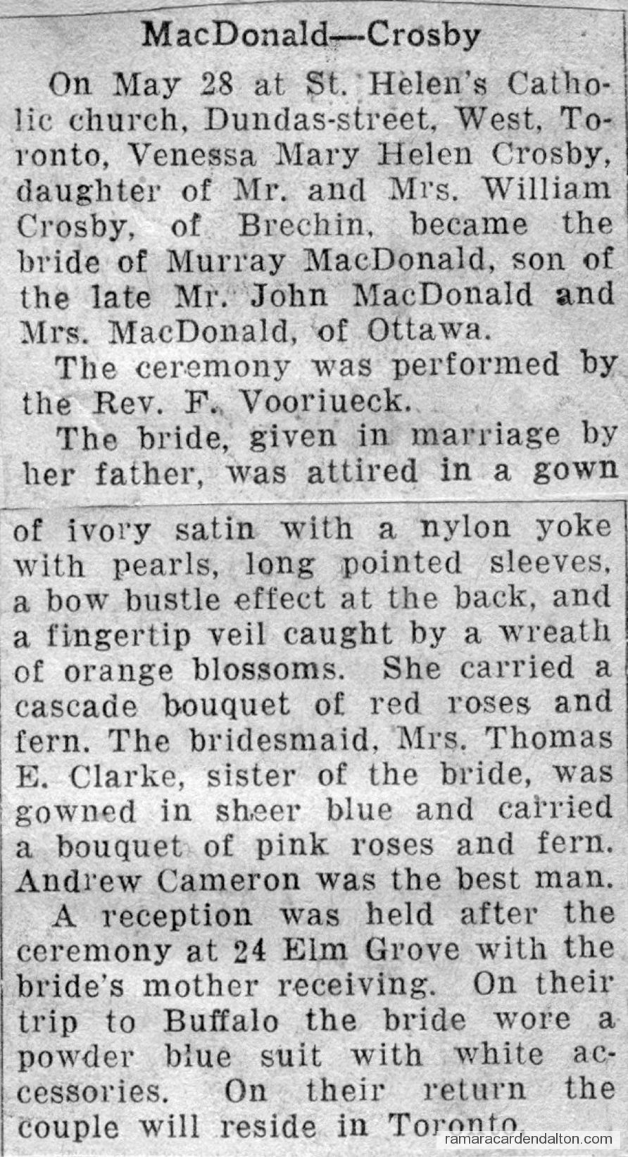 Photo of the day 3536 - Photo of the day