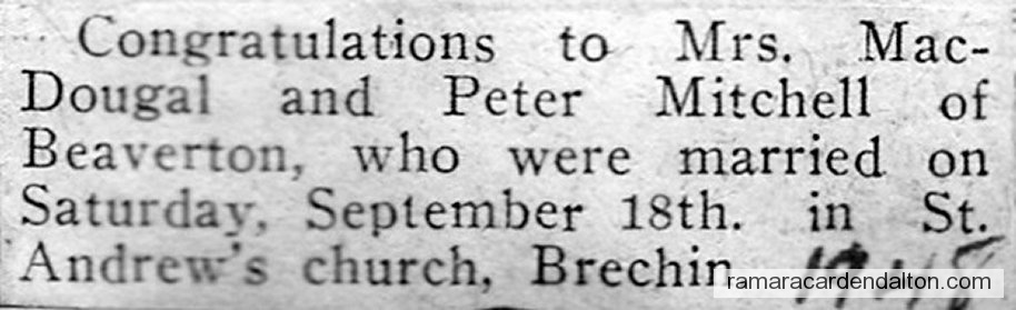 Photo of the day 3537 - Photo of the day