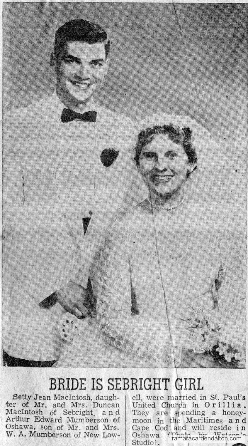 Photo of the day 3538 - Photo of the day