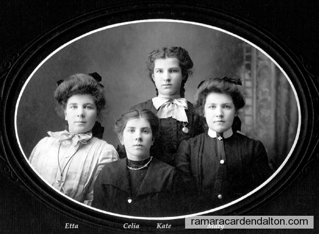 Photo of the day 3540 - Photo of the day