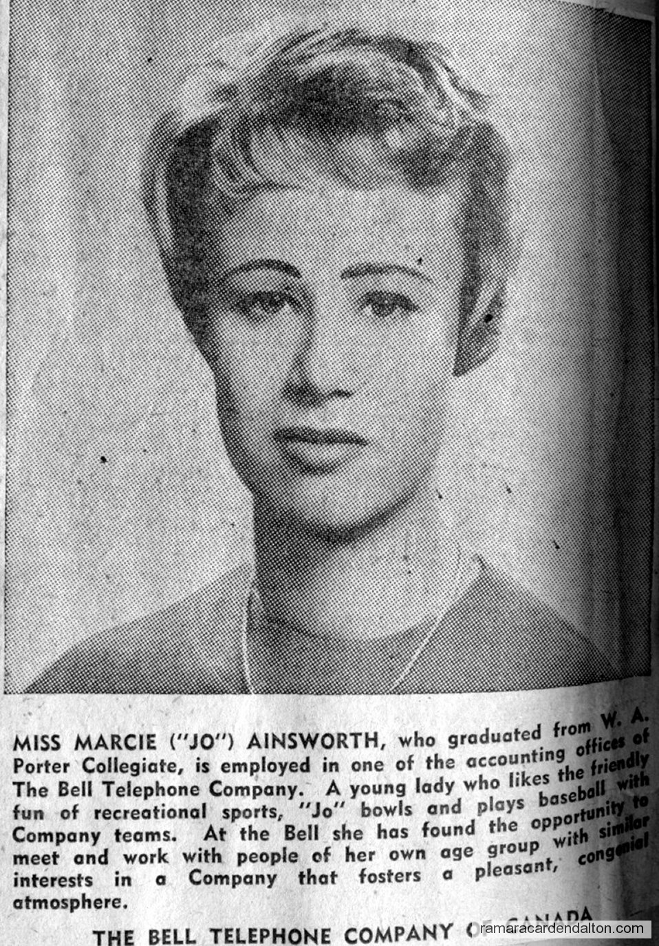 Photo of the day 3546 - Photo of the day