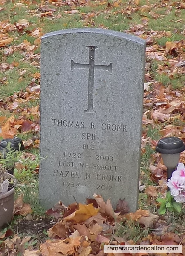 Photo of the day 3548 - Photo of the day