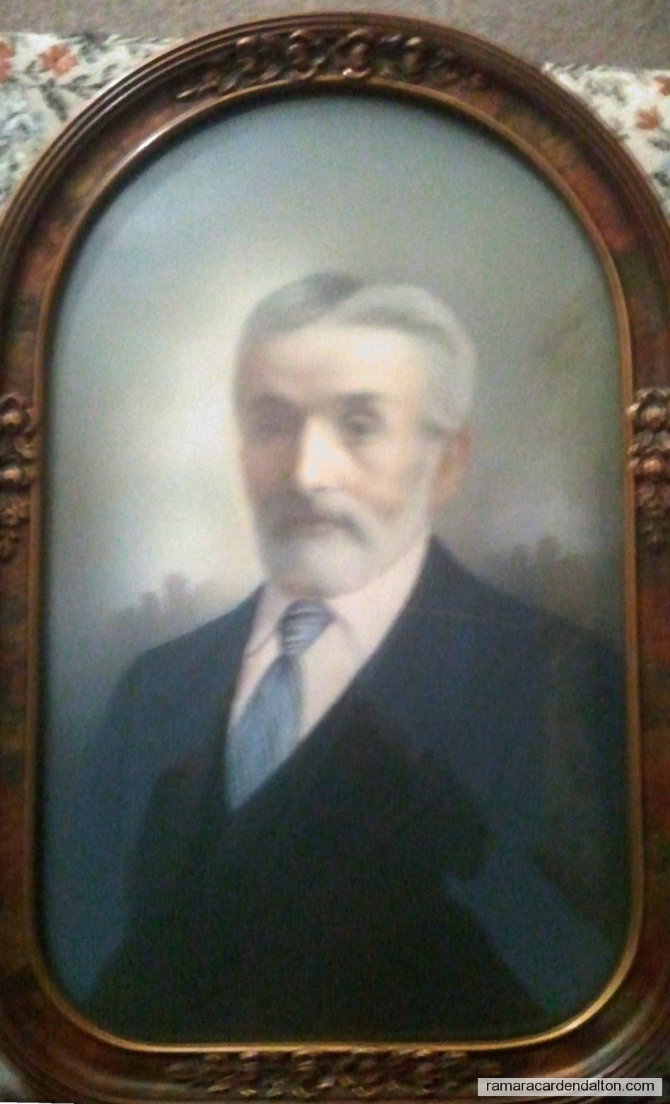 Photo of the day 3556 - Photo of the day