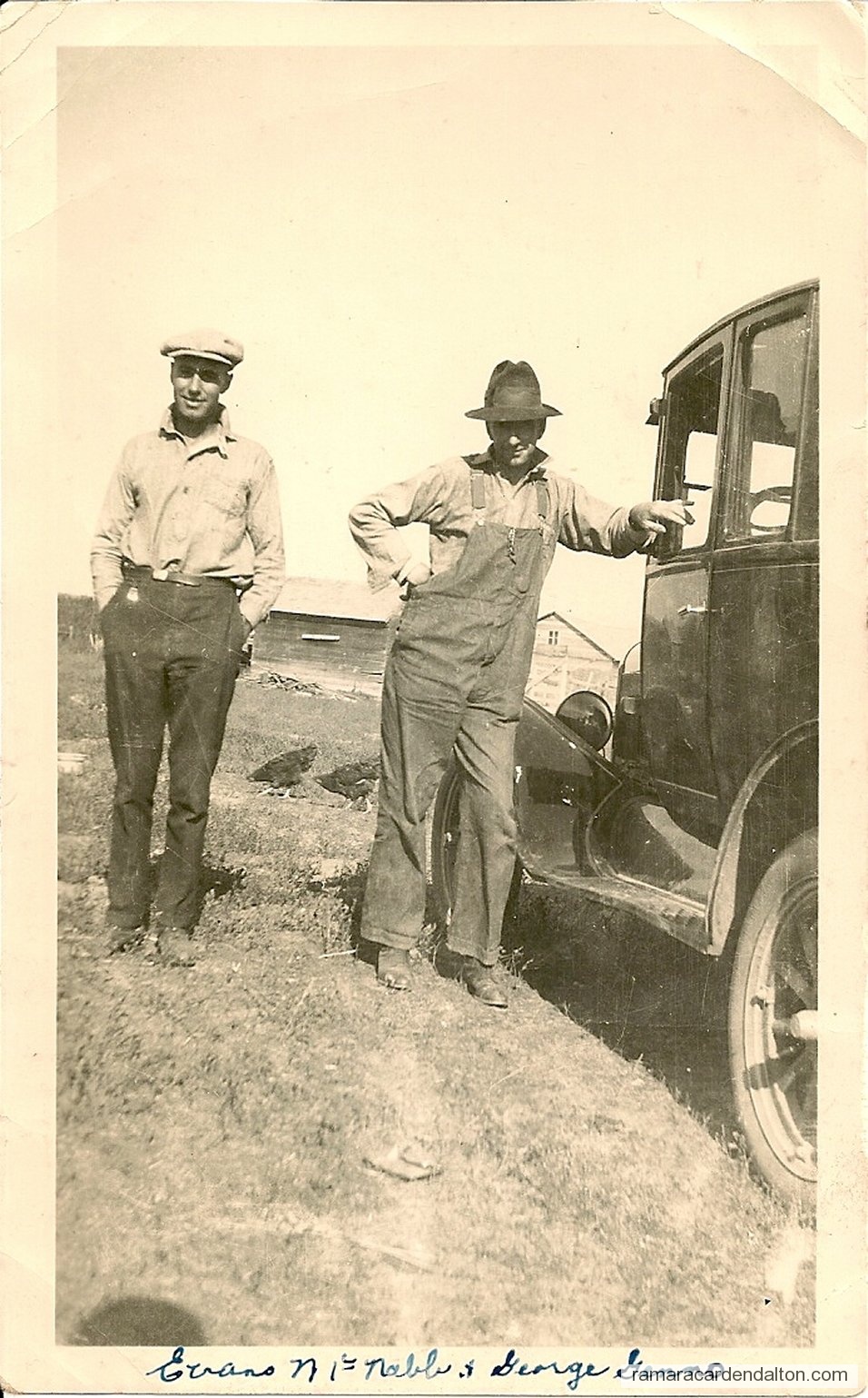 Photo of the day 3557 - Photo of the day