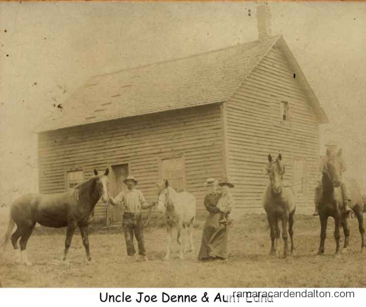 Photo of the day 3573 - Photo of the day