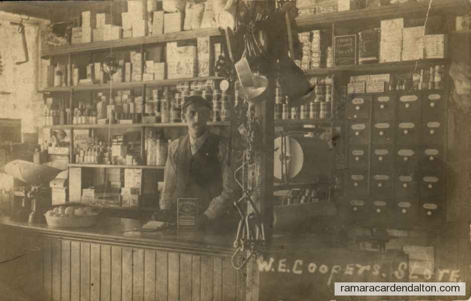 Photo of the day 3575 - Photo of the day