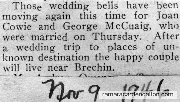 Photo of the day 3593 - Photo of the day