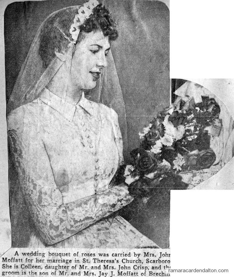 Photo of the day 3595 - Photo of the day