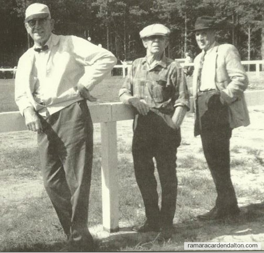 Photo of the day 3602 - Photo of the day