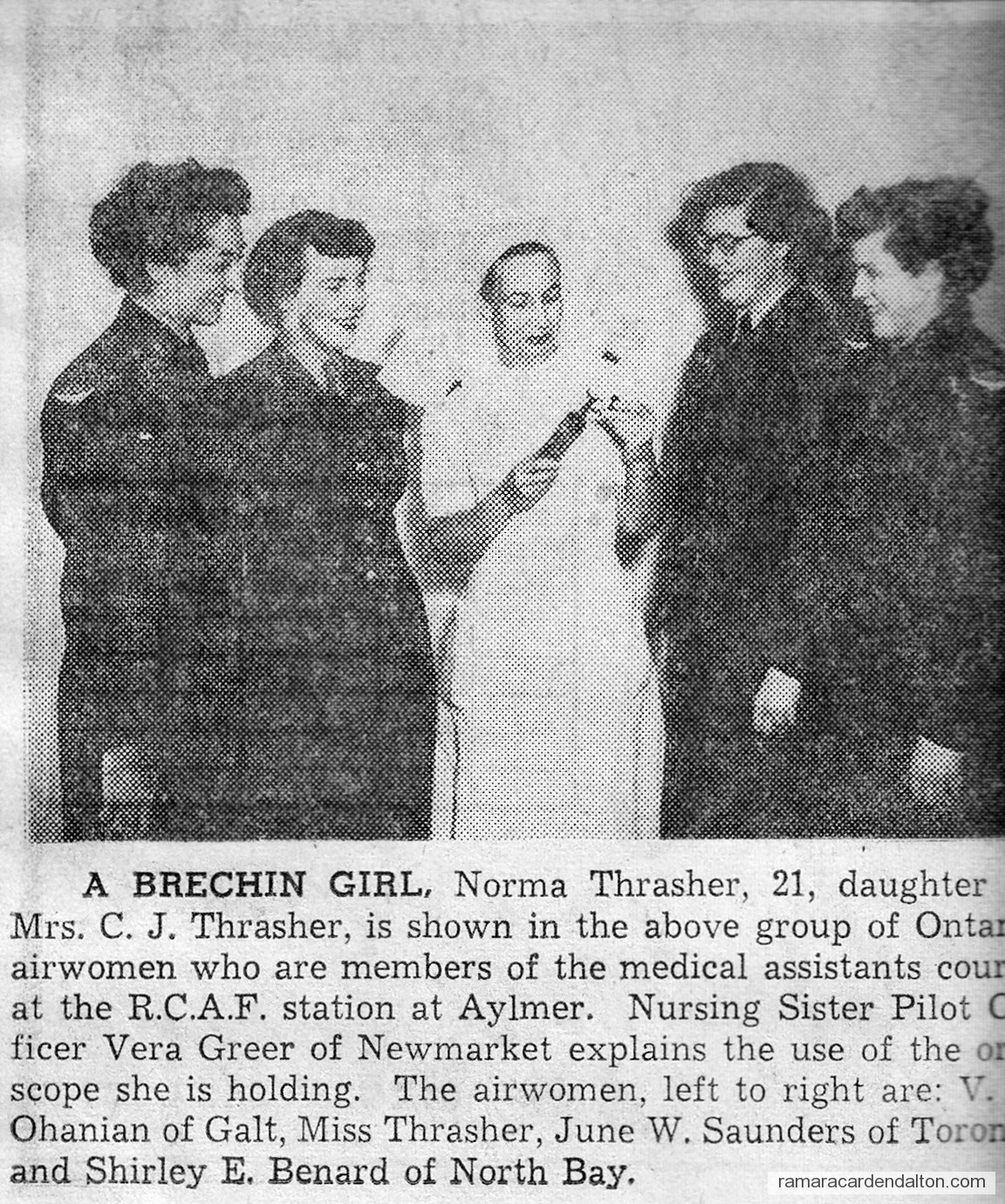 Photo of the day 3606 - Photo of the day