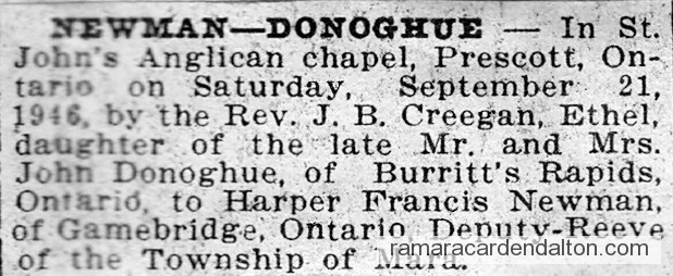 Photo of the day 3608 - Photo of the day