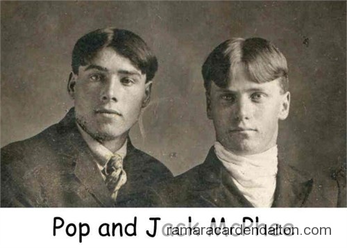 Photo of the day 3617 - Photo of the day