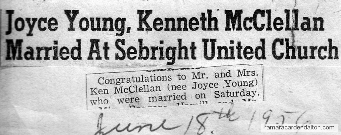 Photo of the day 3625 - Photo of the day