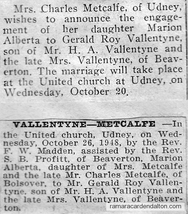 Photo of the day 3628 - Photo of the day