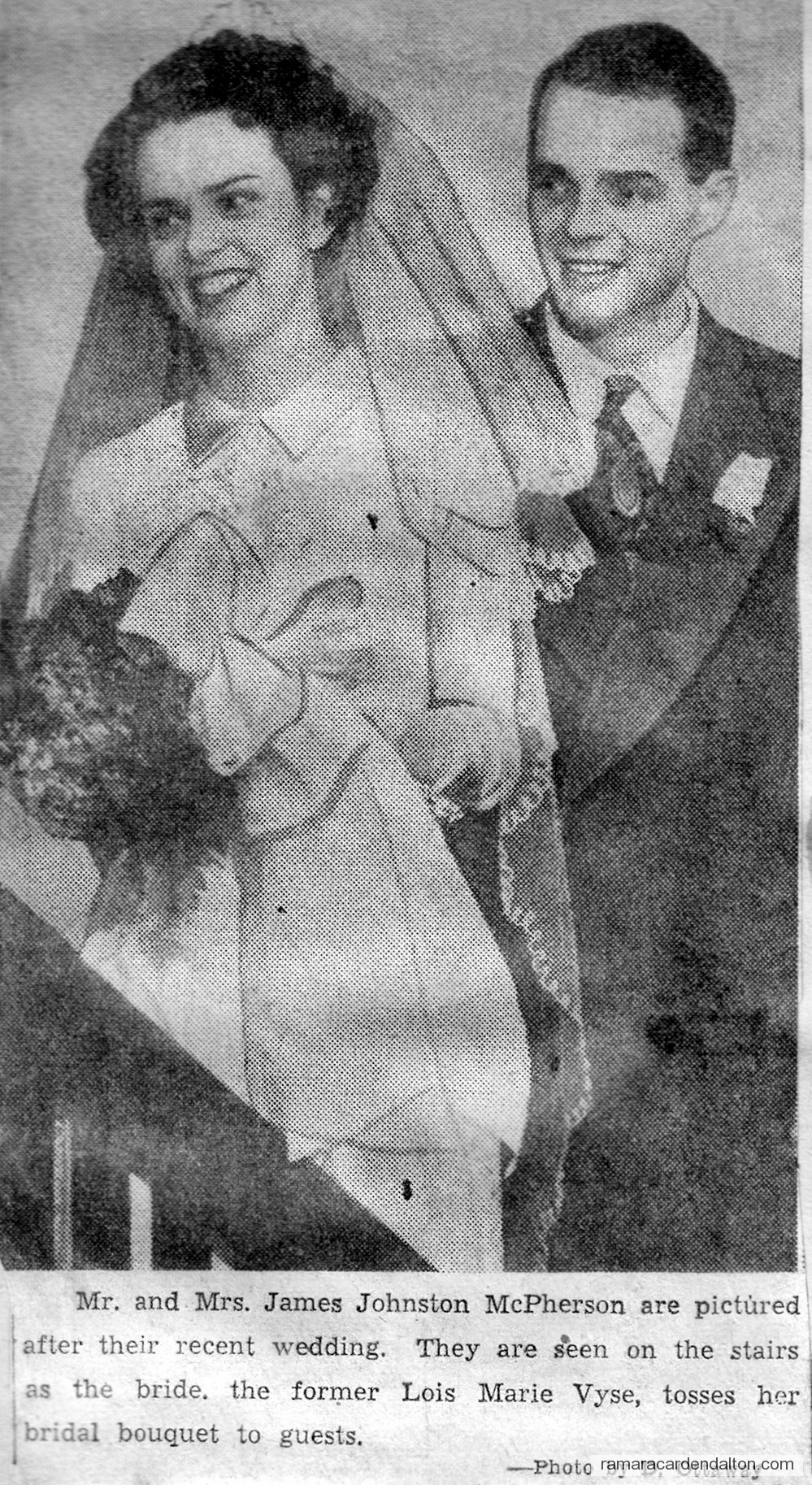 Photo of the day 3638 - Photo of the day