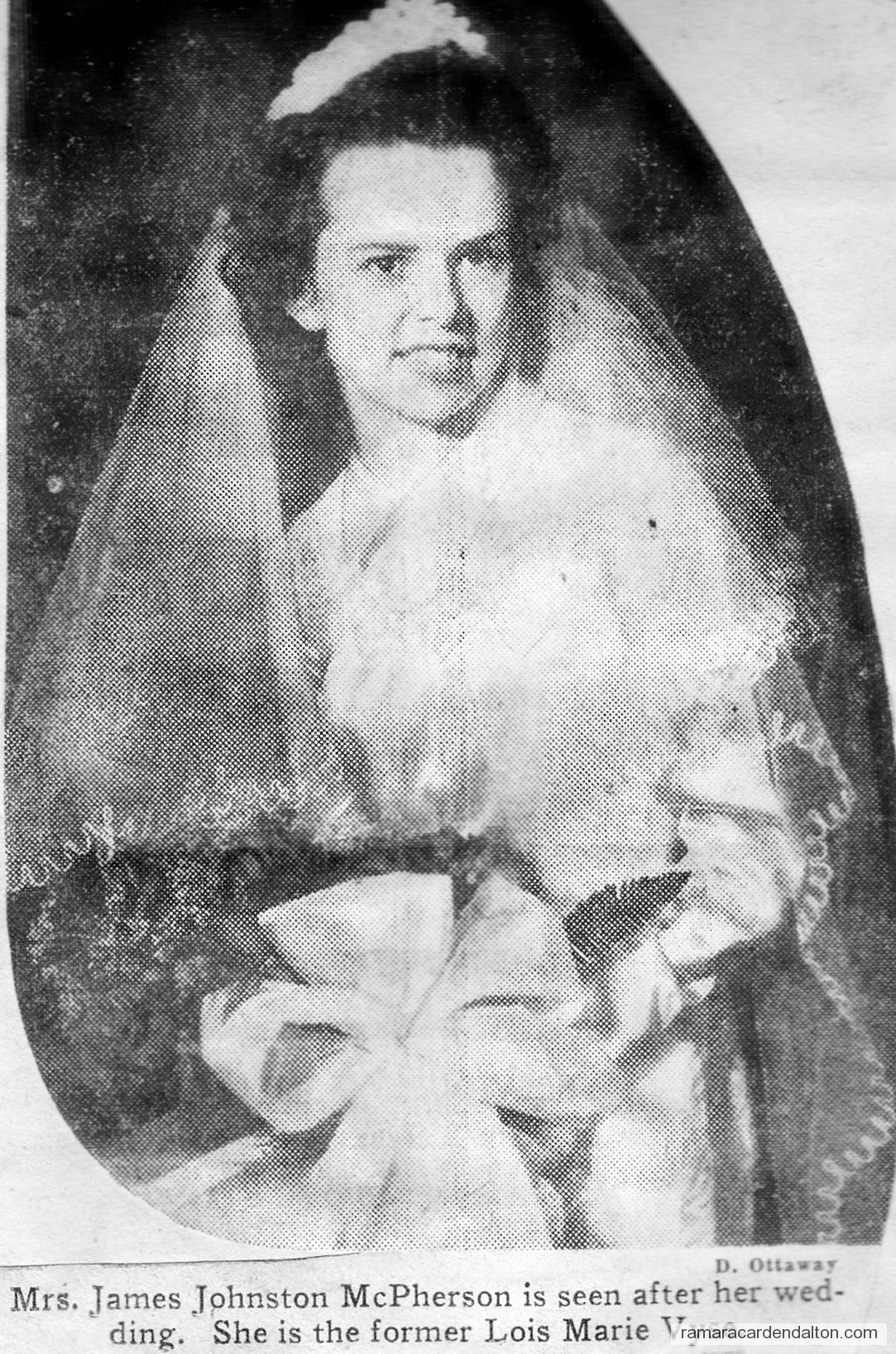 Photo of the day 3639 - Photo of the day