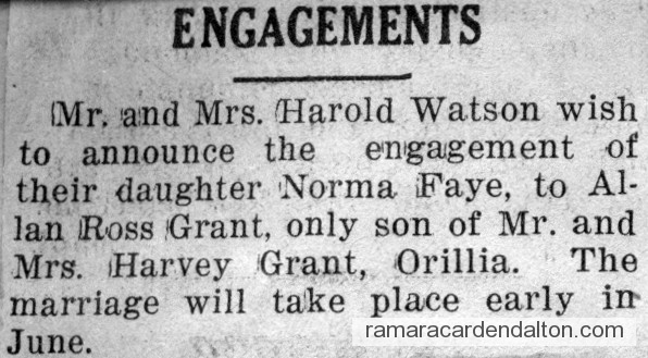 Photo of the day 3649 - Photo of the day