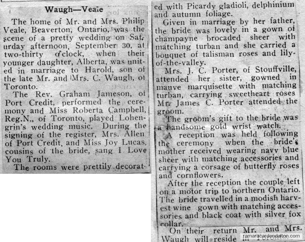 Photo of the day 3650 - Photo of the day