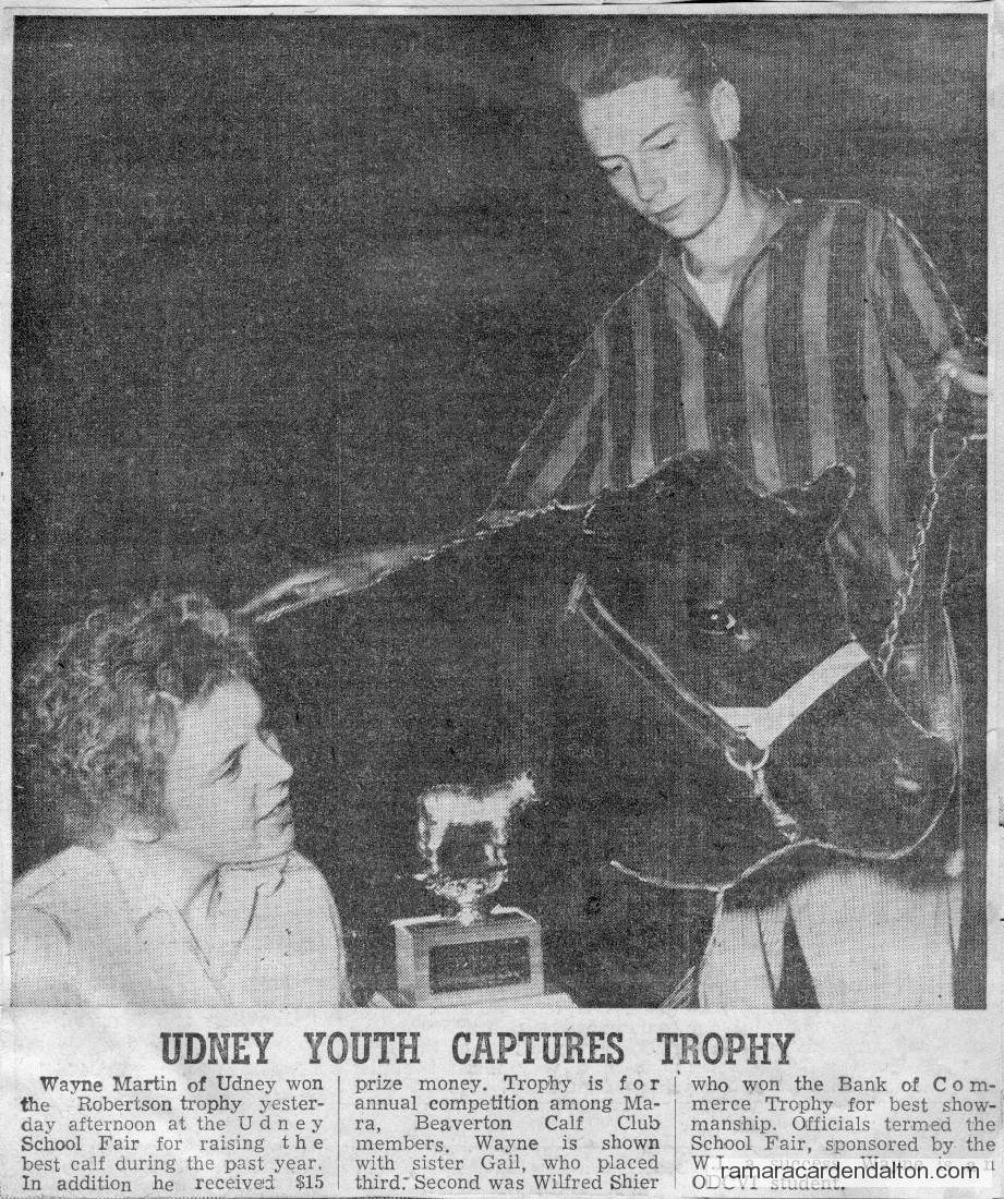 Photo of the day 3651 - Photo of the day