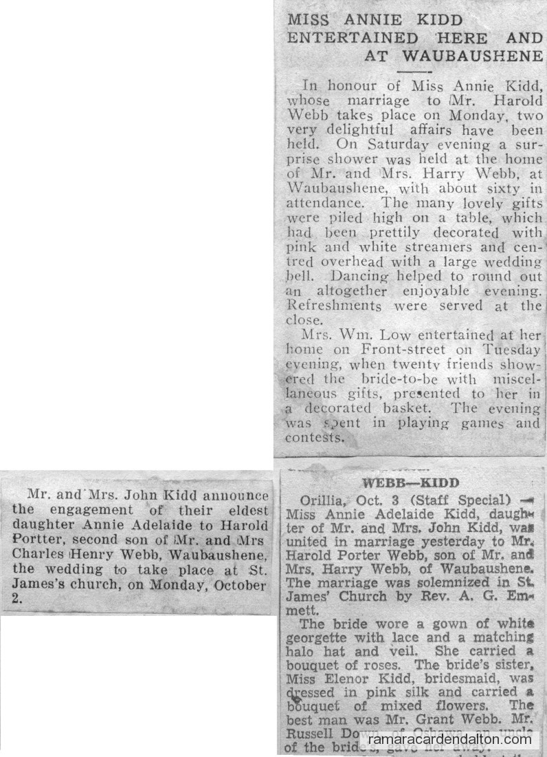 Photo of the day 3653 - Photo of the day