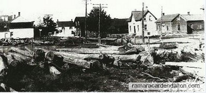 Photo of the day 3654 - Photo of the day