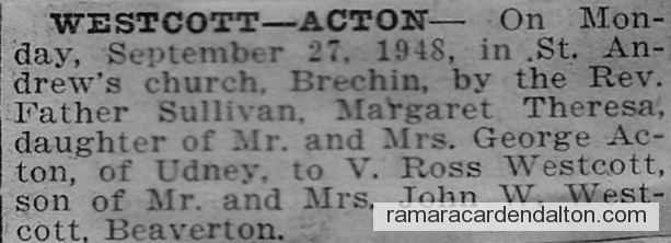 Photo of the day 3656 - Photo of the day