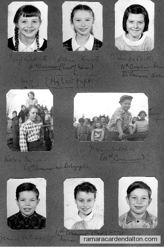 Photo of the day 367 - Photo of the day