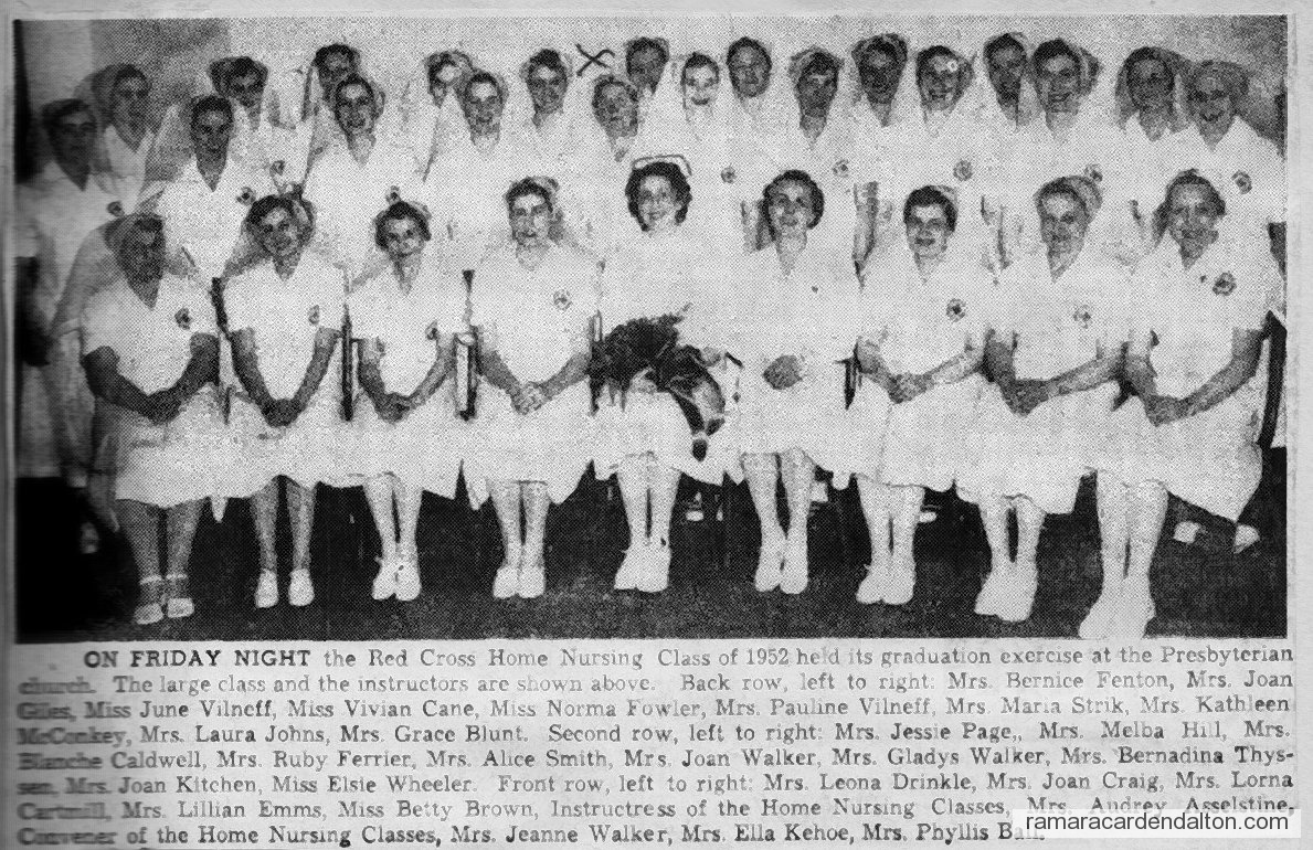 Photo of the day 3682 - Photo of the day