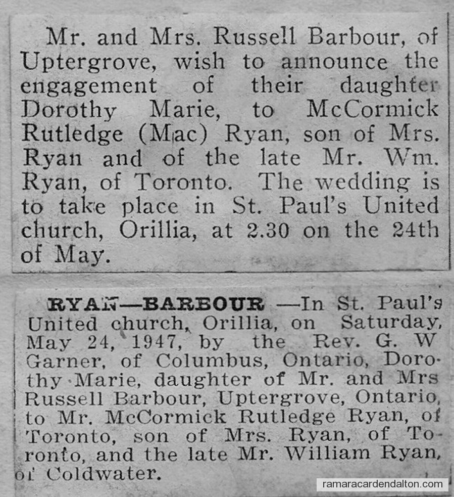 Photo of the day 3687 - Photo of the day