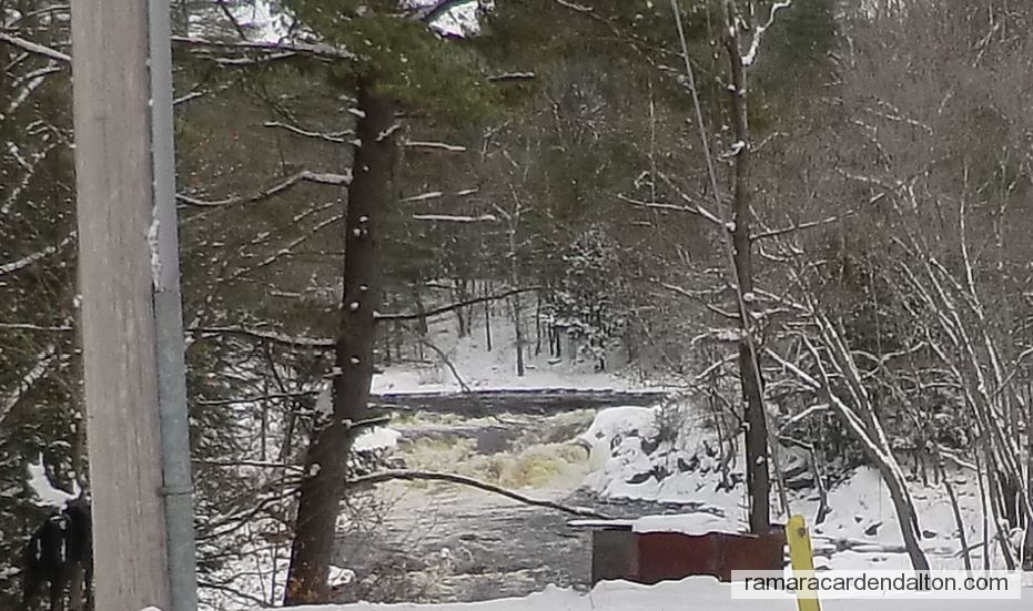 Photo of the day 3693 - Photo of the day