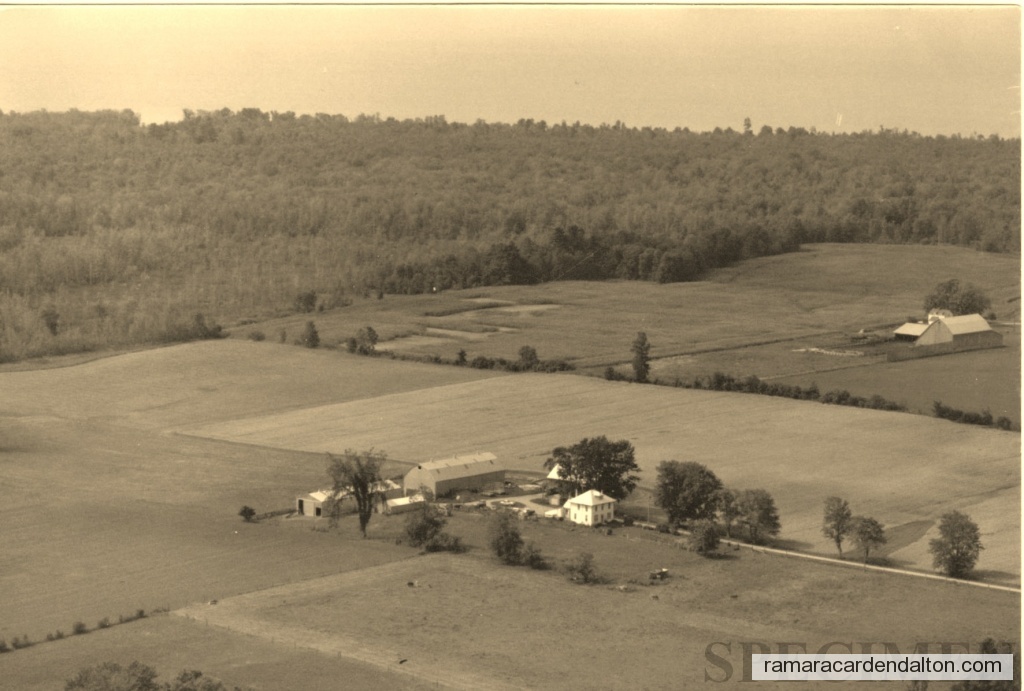 Photo of the day 3708 - Photo of the day