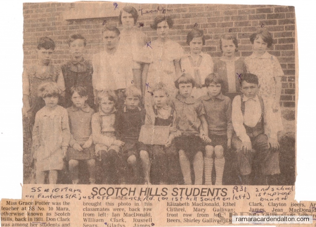 Photo of the day 3710 - Photo of the day