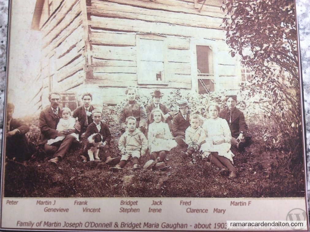 Photo of the day 3718 - Photo of the day