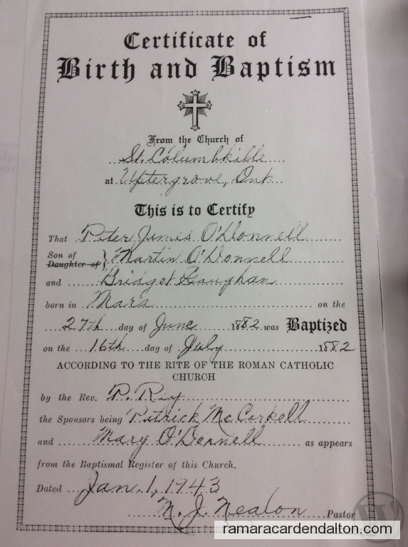 Photo of the day 3719 - Photo of the day