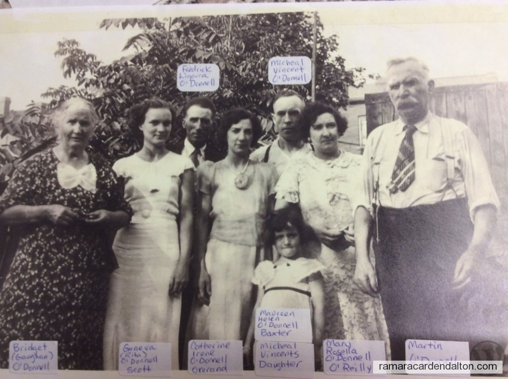 Photo of the day 3721 - Photo of the day