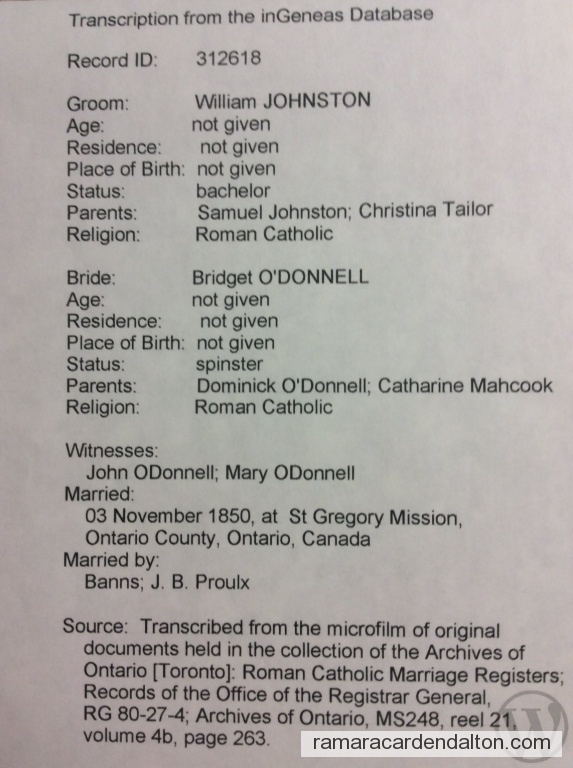 Photo of the day 3724 - Photo of the day