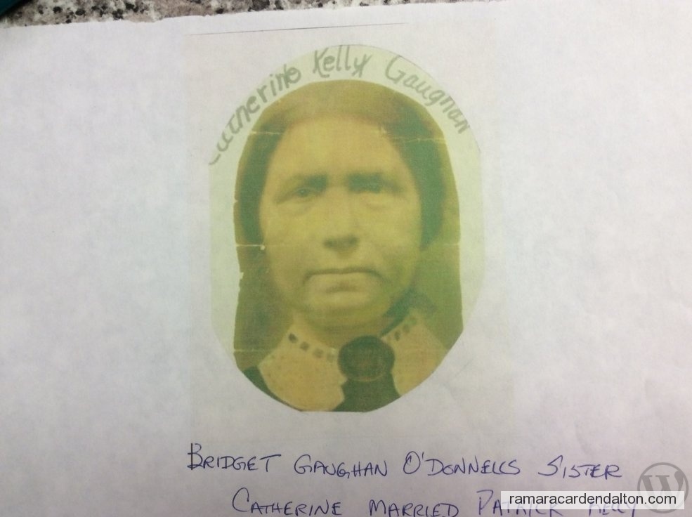 Photo of the day 3726 - Photo of the day