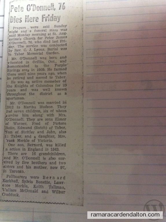 Photo of the day 3727 - Photo of the day